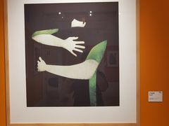 -【朵云轩艺术中心】博洛尼亚插画展·中国巡展·上海站