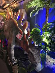 -恐龙探索乐园(磁器口店)