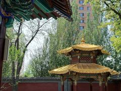 -护国法轮寺