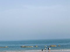 -日照海滨国家森林公园