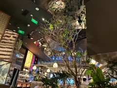 -桂满陇·海市蜃楼·黑金(国金店)