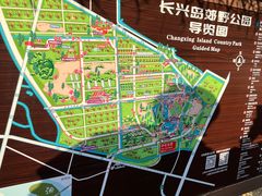 -上海长兴岛郊野公园