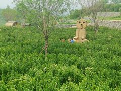 -西部长青自然儿童乐园