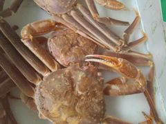 -南沙十九涌渔人码头-南门