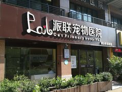 -派联宠物医院·24h·CT·异宠
