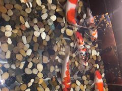 -大桶大足浴(瞿溪路店)