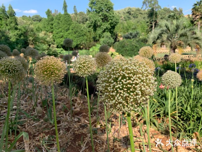 昆明植物園-圖片-昆明景點/周邊遊-大眾點評網