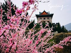 -居庸关长城