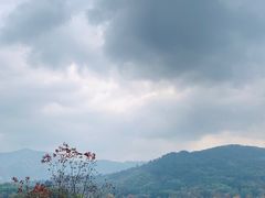 -塔川景区