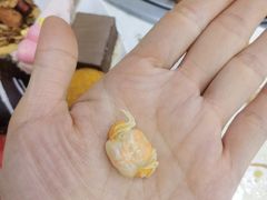 -集杰尚品海鲜烤肉自助餐厅(乳山振华店)