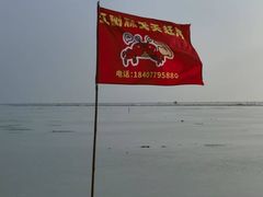 -红树林天天赶海