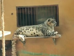 -青藏高原野生动物园