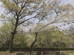 -WeLope紫金山探险公园
