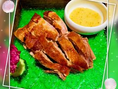 -汤城·料青山