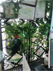 -阿兵荣辉美容理发有限公司