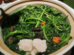 -煲煲好(朝阳门店)