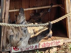 -乐和乐都主题乐园