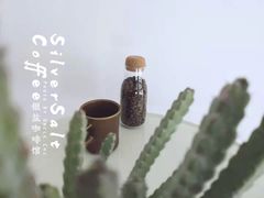 -长春银盐咖啡馆