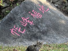 -广州市帽峰山景区