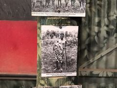 -热带雨林自然公园