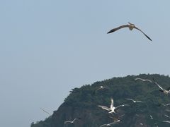 -棒棰岛宾馆景区