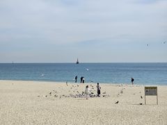 -海云台海滩