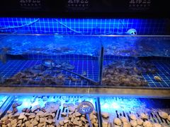 -蒙肥羊·酸汤潮牛·鲜牛肉火锅烤肉自助(岗顶店)
