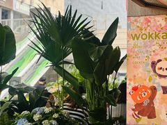-WOKKA by艮上(中海环宇荟店)