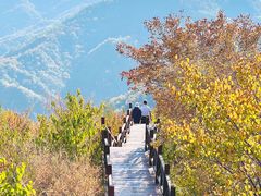 -大岭沟猕猴桃谷风景区