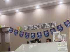 -瑞鹏宠物医院·骨外科·心肾科·肿瘤科(九亭店)