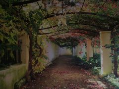 -官厅老勾渔馆(温泉店)