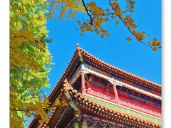 -故宫博物院(故宫)