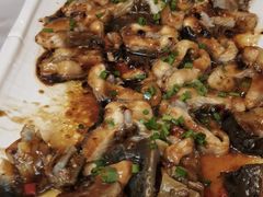 鱘龍魚-朱仔记食府(江南大道店)