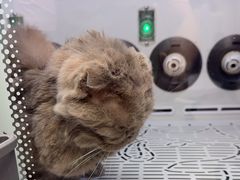 -FAELING PETS美天灵宠物(富力广场店)