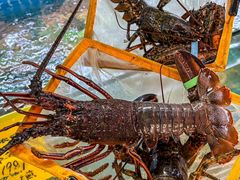 -坛南湾阿强农家乐.海鲜大排档老字号(福州地标美食店)