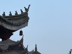 -上海东林寺(金山区)