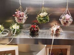 -植物学家的女儿(北马道巷店)