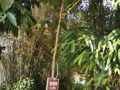 -三亚南山文化旅游区