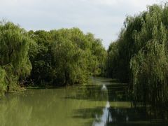 -同里国家湿地公园