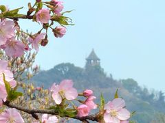 -上海辰山植物园