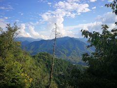 -黑河国家森林公园