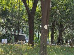 -成都市活水公园