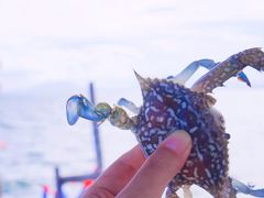 -碧桂园十里银滩