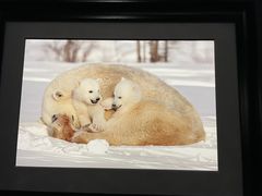 -罗红摄影艺术馆