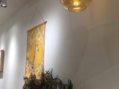 -白日梦奶茶