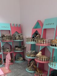 -奈尔宝家庭中心·亲子餐厅(前滩店)
