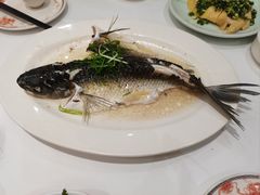 油盐蒸青竹皖鱼-稻香酒家·35年老字号(侨光店)