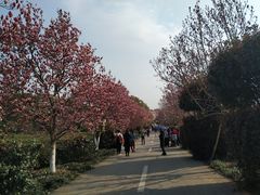 -凤凰沟景区