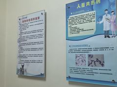 -全心全意连锁动物医院·微创中心·内科急重症·心脏专科(丰管路店)