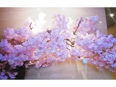 -紫· 割烹  Kappo Murasaki